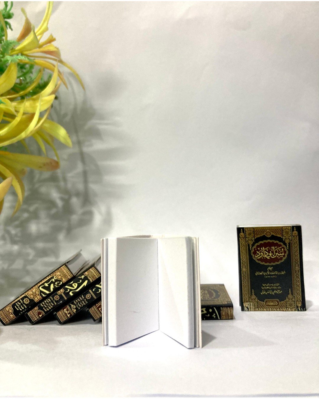 Mini Books