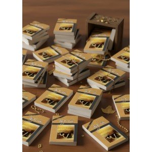 Mini Books